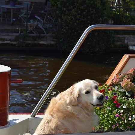 Aurora Bed & Breakfast Schiedam Luaran gambar