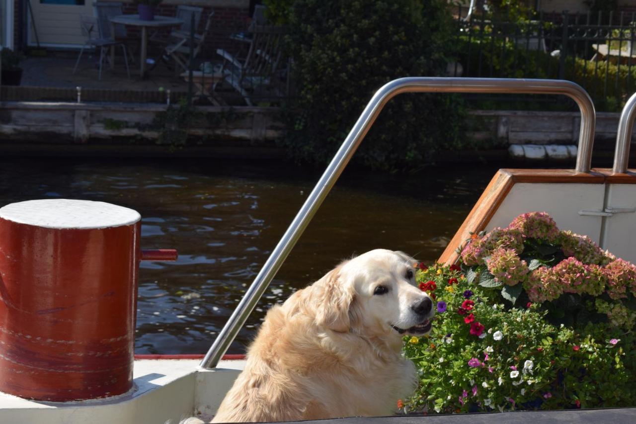 Aurora Bed & Breakfast Schiedam Luaran gambar